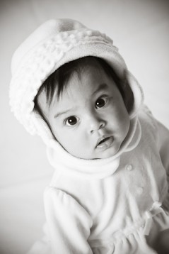 013 _IMG_0595-2 copy